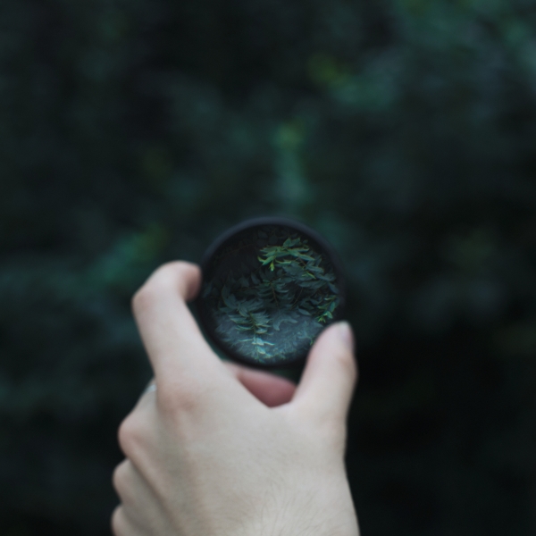 https://www.nelk-shuhe.com/files/gimgs/27_bl8a6902.jpg