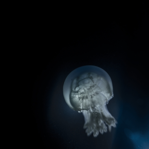 https://www.nelk-shuhe.com/files/gimgs/27_fzj24259.jpg