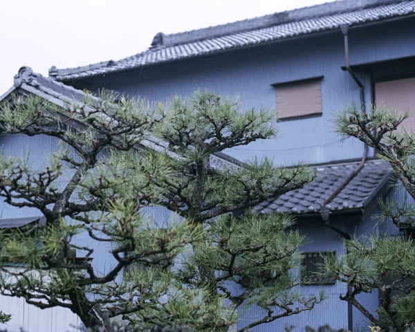 https://www.nelk-shuhe.com/files/gimgs/44_1603200120.jpg