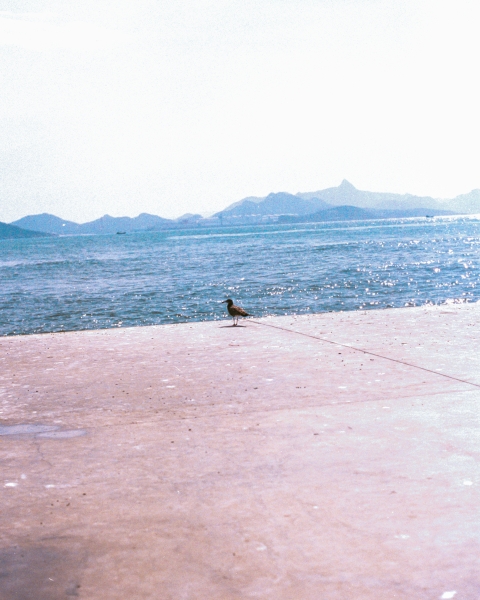 https://www.nelk-shuhe.com/files/gimgs/45_1-001_v2.jpg