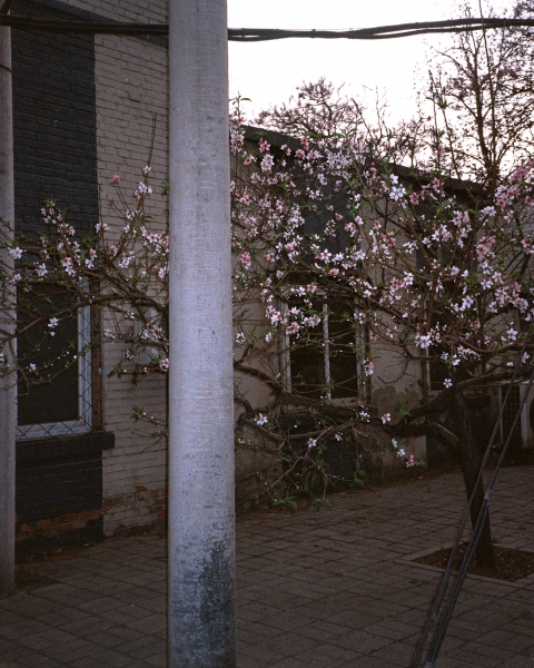https://www.nelk-shuhe.com/files/gimgs/45_2-004.jpg