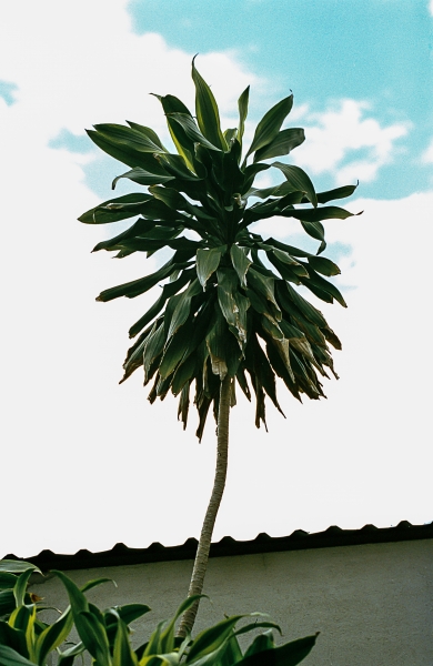 https://www.nelk-shuhe.com/files/gimgs/47_1-0022.jpg
