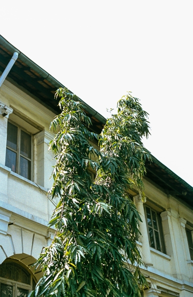 https://www.nelk-shuhe.com/files/gimgs/47_1-0053.jpg