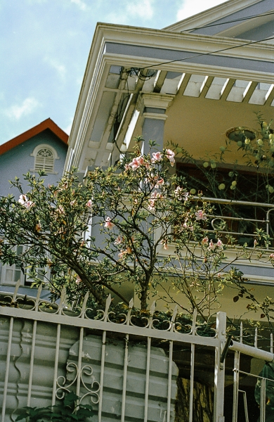 https://www.nelk-shuhe.com/files/gimgs/47_4-0072.jpg