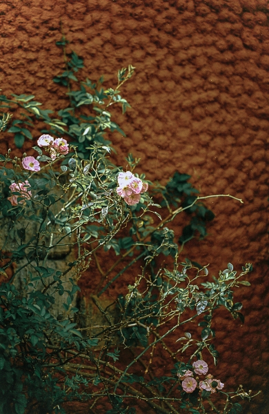 https://www.nelk-shuhe.com/files/gimgs/47_6-00112.jpg