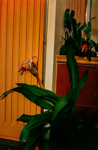 https://www.nelk-shuhe.com/files/gimgs/47_6-0061.jpg