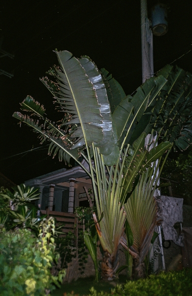 https://www.nelk-shuhe.com/files/gimgs/47_7-0021.jpg
