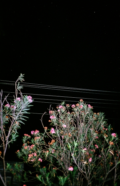 https://www.nelk-shuhe.com/files/gimgs/47_7-00222.jpg