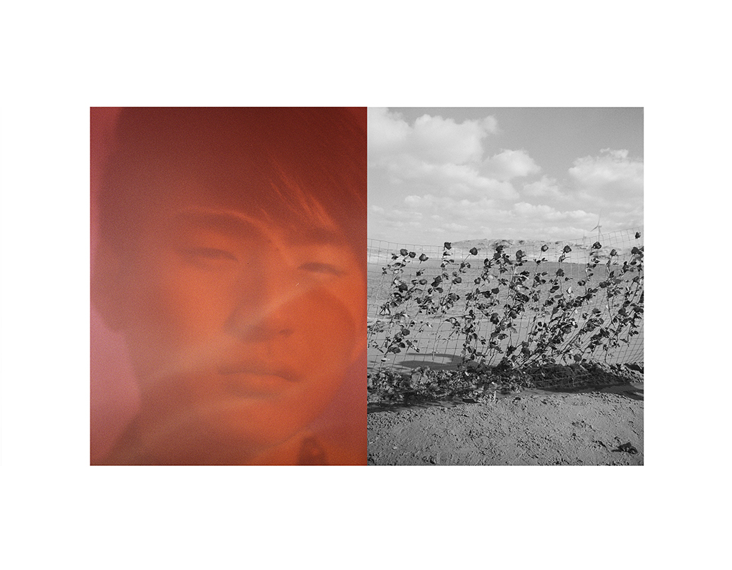 https://www.nelk-shuhe.com/files/gimgs/51_qw.jpg