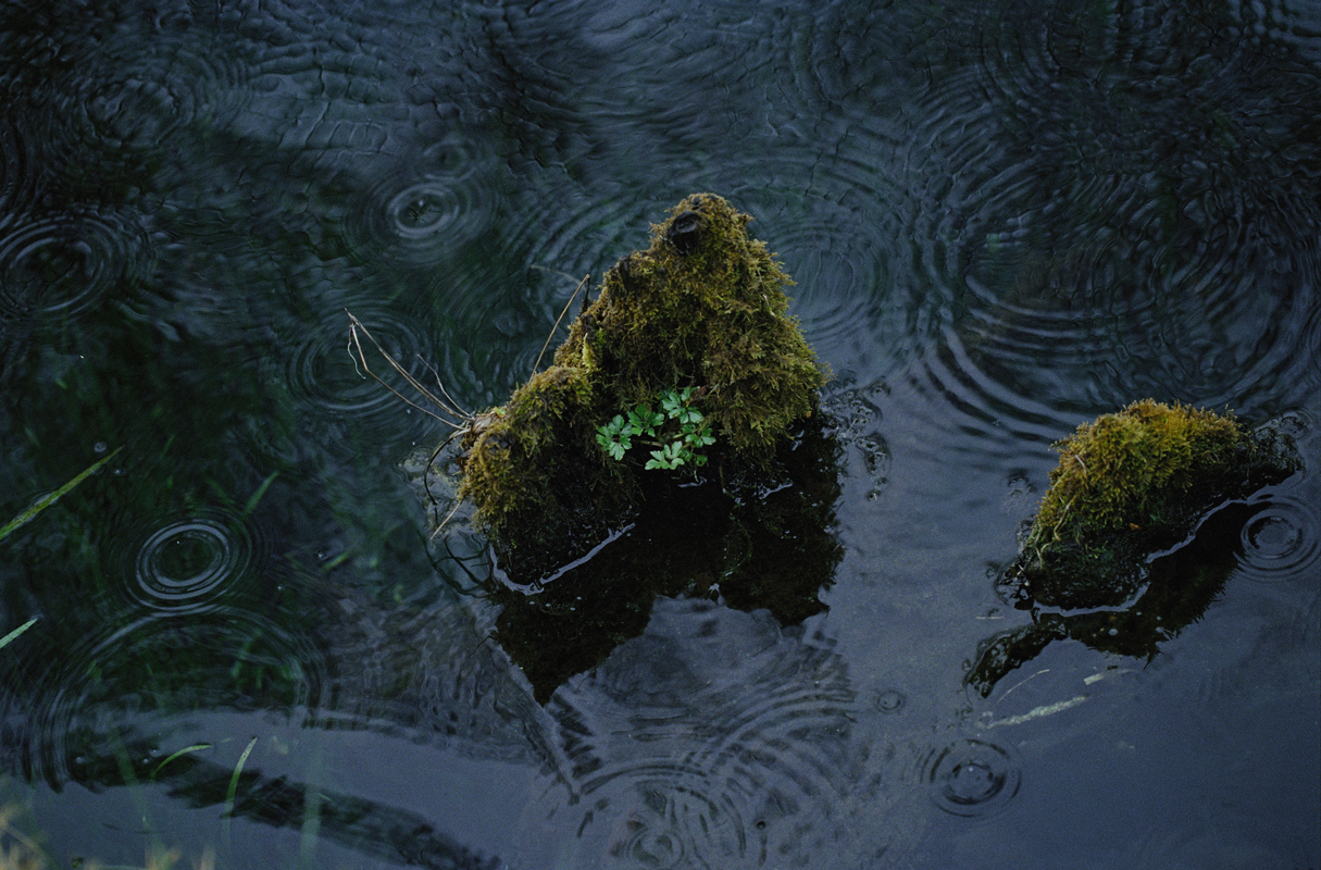 https://www.nelk-shuhe.com/files/gimgs/64_0179.jpg