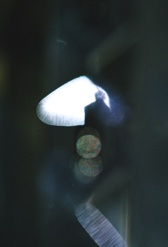 https://www.nelk-shuhe.com/files/gimgs/64_049.jpg