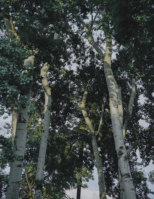 https://www.nelk-shuhe.com/files/gimgs/82_0017.jpg