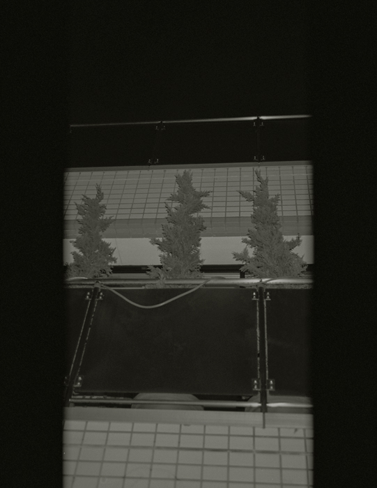 https://www.nelk-shuhe.com/files/gimgs/83_005.jpg