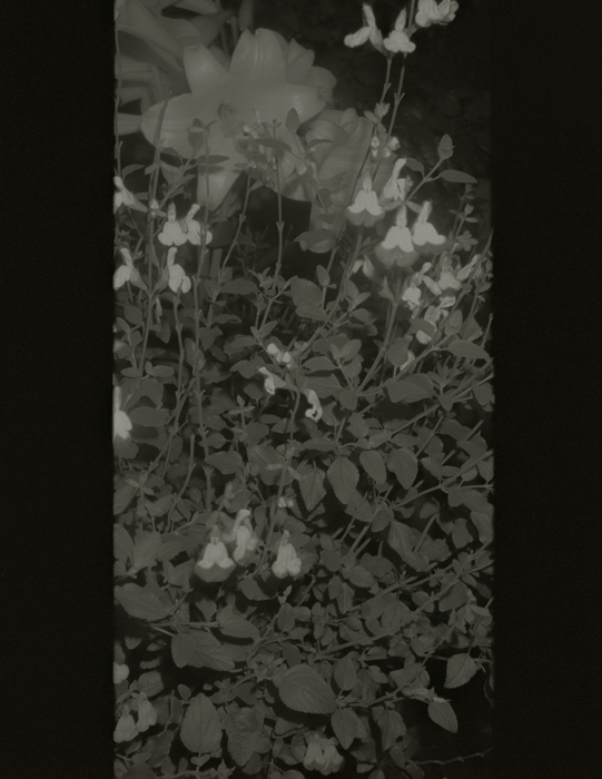 https://www.nelk-shuhe.com/files/gimgs/83_015.jpg