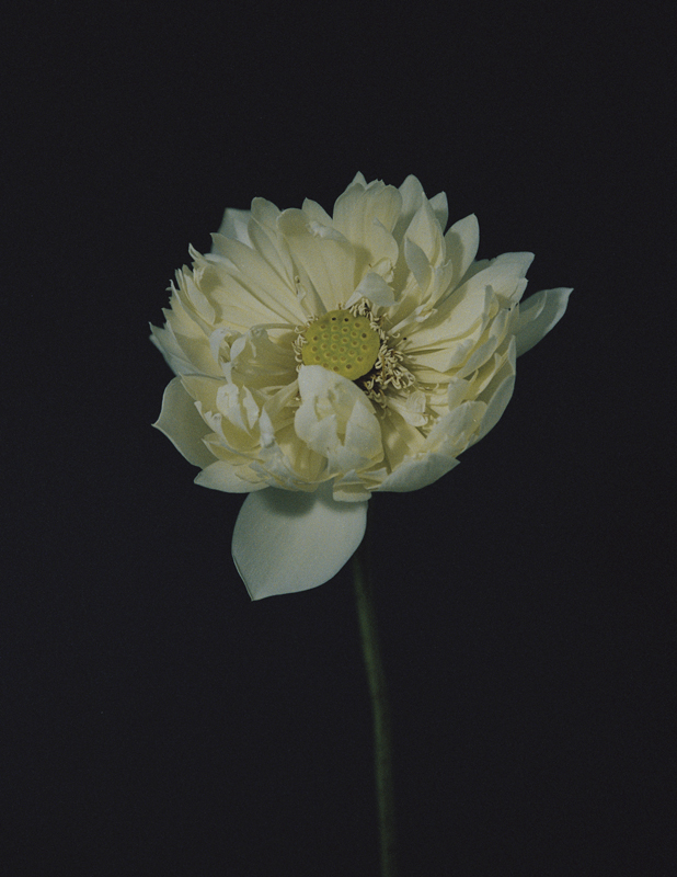 https://www.nelk-shuhe.com/files/gimgs/86_010.jpg