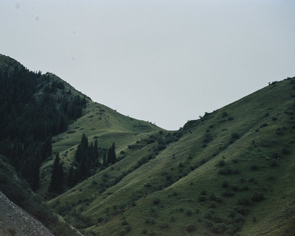 https://www.nelk-shuhe.com/files/gimgs/87_41.jpg