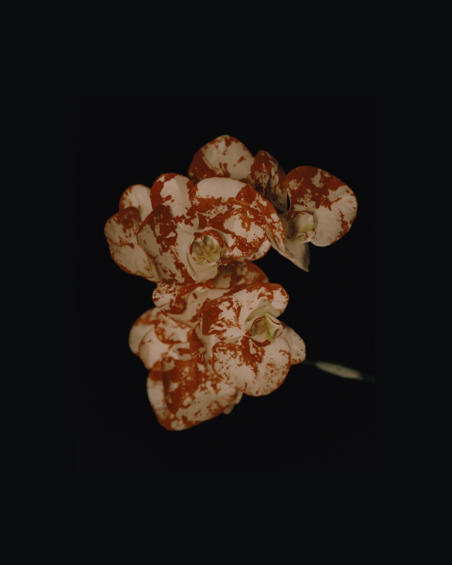 https://www.nelk-shuhe.com/files/gimgs/94_0001.jpg