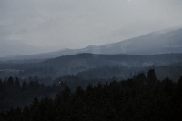 34_11603200000.jpg